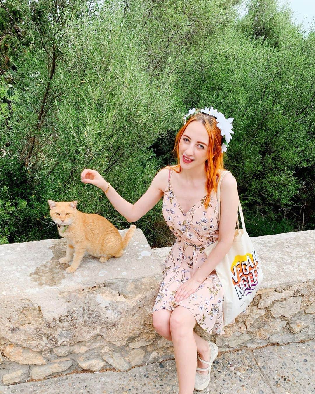 ベッキー・クルーエルのインスタグラム：「a holiday cat!!! 🐈 at the top of a tower!」