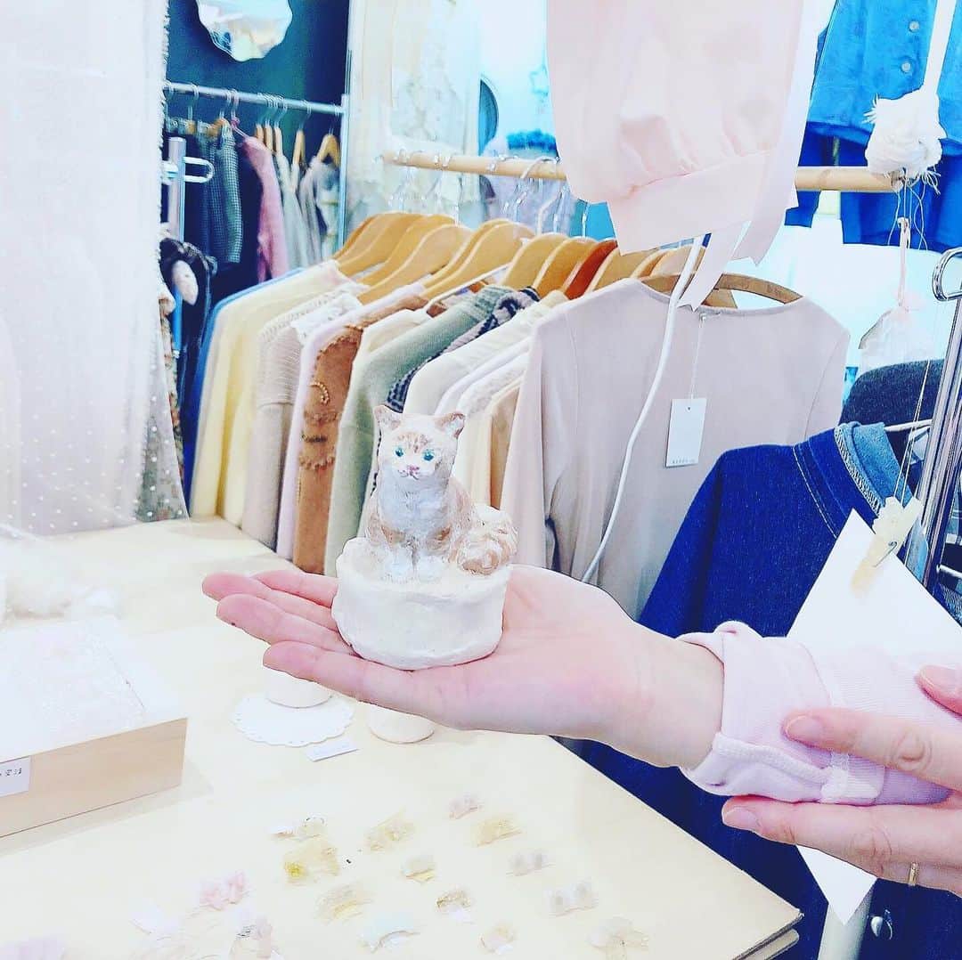 木村仁美のインスタグラム：「愛おしい… 🐈 《@mamiko.kakitsubo 》 まみこちゃんの 作品たち…💐 バージンメリーにて。 .  ぜひ、皆様もお迎えにゆこう…❁ 他の種類の猫ちゃんも、勢ぞろい◎ . 詳しくはばーじんのアカウントへgo!!」
