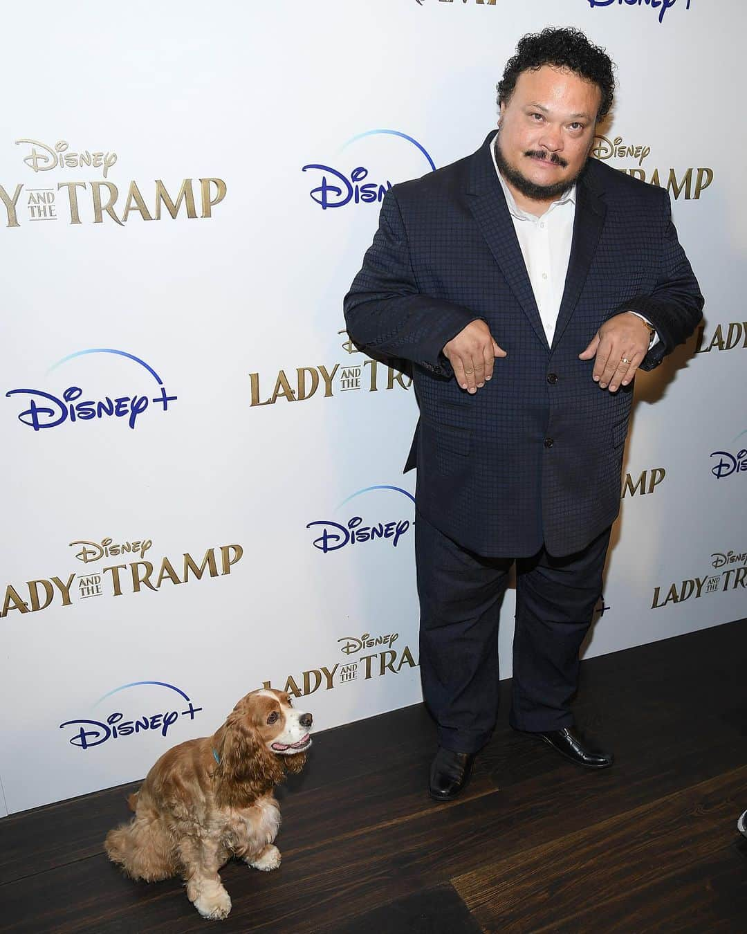 Disneyさんのインスタグラム写真 - (DisneyInstagram)「The stars were dressed to the canines at a special screening of @ladyandthetramp in New York. See the film November 12, only on @disneyplus. #DisneyPlus」10月25日 3時24分 - disney