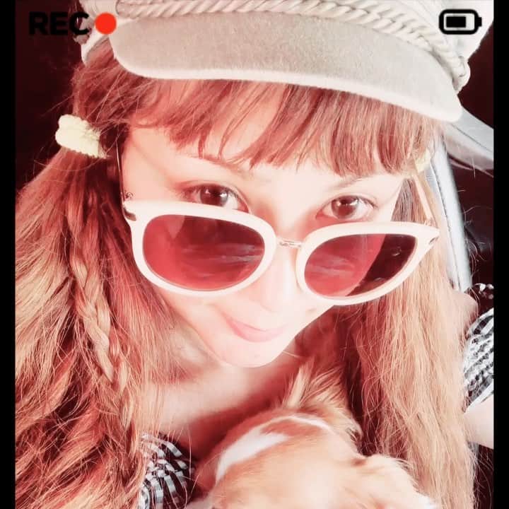 Arimeのインスタグラム：「お久しぶりですw Okinawaだょ👀遊びきてw 散歩いってきーす🐾寝てるけどw💕 あと家族がまた増えましたw🐶そのこはまたあとで🐾 #okinawa  #散歩  #ピクニックしたい  #天気良い #気持ちいい  #清々しい  #わんちゃん  #わんこ  #おなかすいた」
