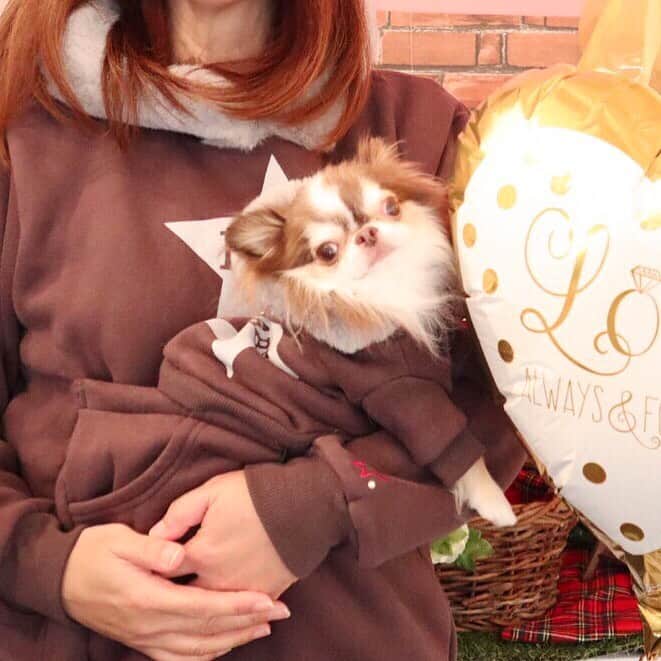 kayoのインスタグラム：「* * らいちんとオソロ☺️💗 * * この冬はらいちんポッケにINしていっぱい着まくろ〜😆💗💗💗 * * Lychee💗👩🏻‍🦰 * * #chihuahua#chihuahualove#dogstgram#dog#instadog#チワワ#チワワ大好き * *」