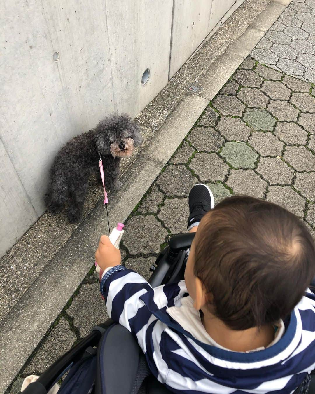 水内猛さんのインスタグラム写真 - (水内猛Instagram)「昨日は保育園休んだ長男と2人で過ごしましたが… 今日は保育園行ってくださーい😊成長著しい年頃… #長男 #1歳9ヶ月」10月25日 8時35分 - takeshimizuuchi