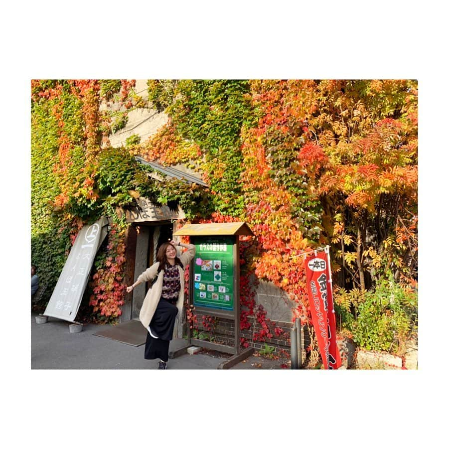 喜多よしかさんのインスタグラム写真 - (喜多よしかInstagram)「🍁🍁🍁 ・ #小樽 #紅葉 #秋  #🍁 #北海道 #運河 #大正ガラス #フォトスポット おススメ👏 #躍動感 #喜多よしか」10月25日 15時25分 - yoshika_1002_official