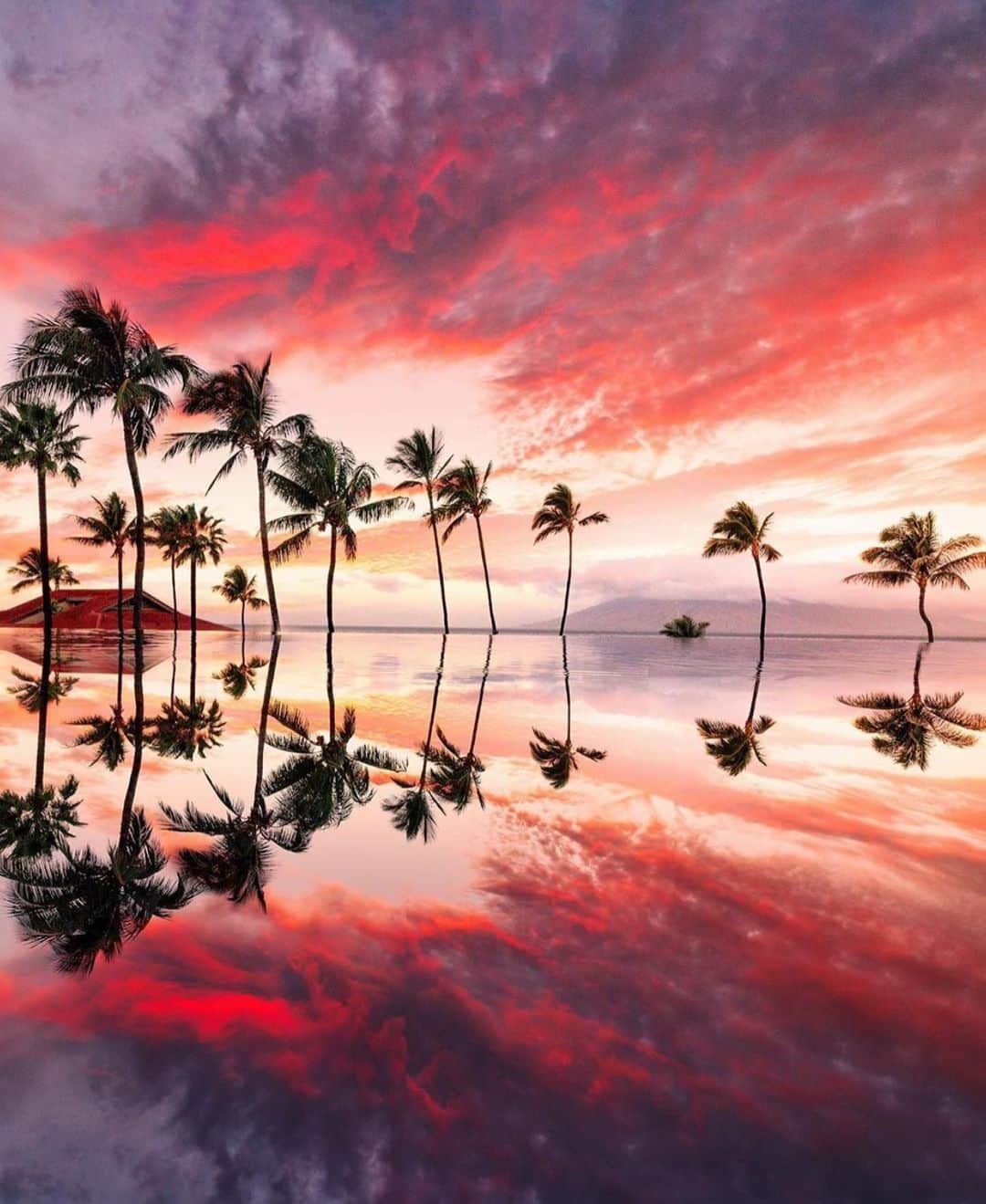 Wonderful Placesさんのインスタグラム写真 - (Wonderful PlacesInstagram)「Stunning sunset in Maui - Hawaii ✨🌴🌴🌴✨ . Picture by ✨✨@neohumanity✨✨ #wonderful_places for a feature ❤️」10月25日 10時29分 - wonderful_places