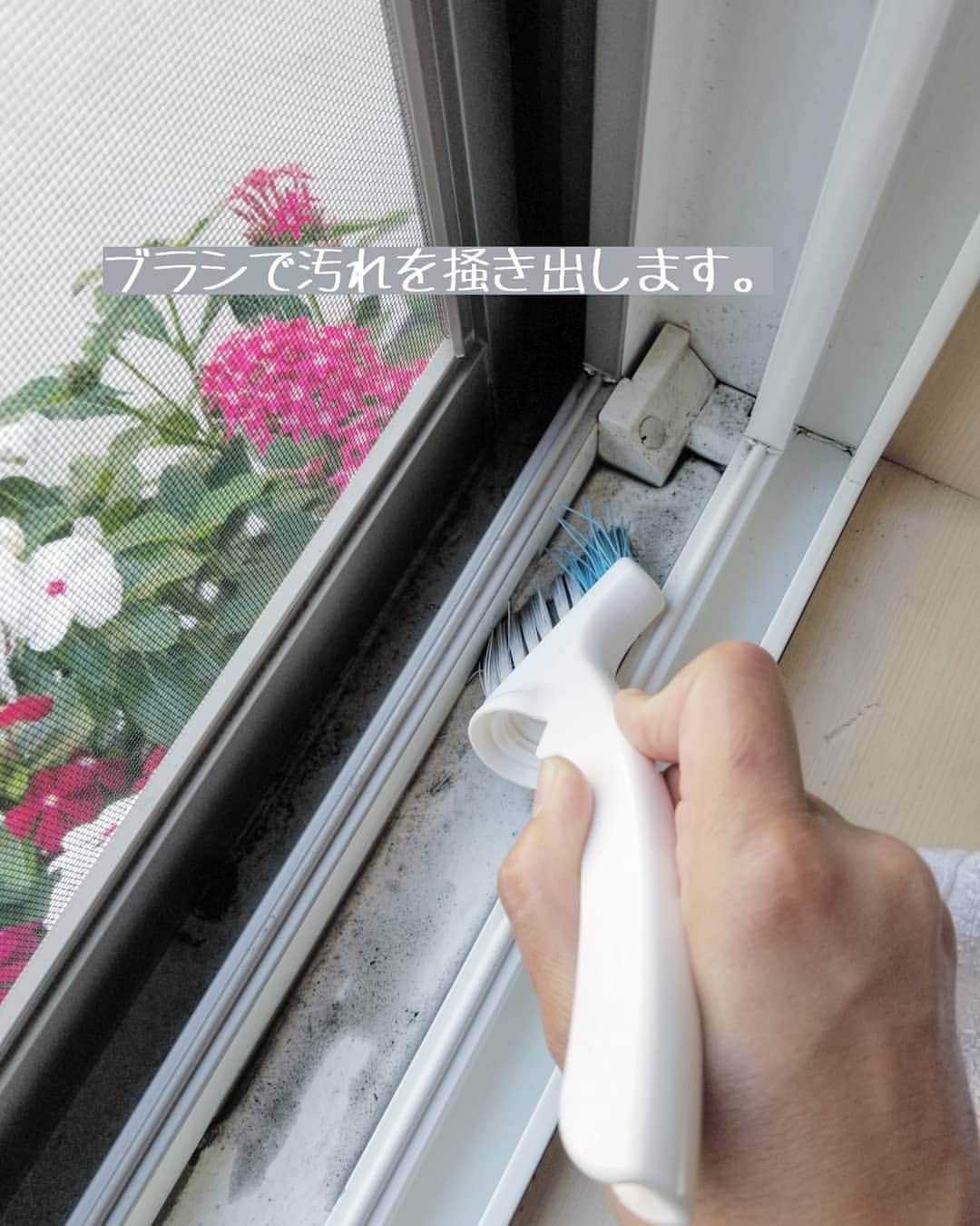 koyukkuma 一条工務店さんのインスタグラム写真 - (koyukkuma 一条工務店Instagram)「• #くまさんの年末大掃除2019 • 去年のを参考にしたい方は #くまさんの年末大掃除 に飛んでね！ • 今回は掃き出し窓サッシの大掃除です😊 • 洗剤使わず水だけでピカピカなりますよ🎵 • まずは内側の窓をアルコールスプレーとマイクロファイバータオルで拭きます。 • それから窓サッシを掃除します。 先に飛んできてた枯れ葉や謎くずを掃除機で吸ったのですが、砂埃は固まってしまってて吸えませんでした…… • 水をかけてブラシで掻き出せば汚れが浮いてくるので、水である程度流して最後にボロタオルで拭き取ります！ • サッシ横の壁にも水飛んでたり、砂埃がついてるので拭き取りました。 • ダイニングも同じようにサッシ掃除します。 ダイニングの掃き出し窓は巨大なのでサッシも長いし憂鬱！ • 同じような写真になるので省略しましたが、キッチンの小窓も同じように掃除して終了👌 • #一条工務店 #アイスマート #ismart #マイホーム #おうち #ダイニング #窓 #掃き出し窓 #和室 #窓掃除 #網戸 #掃除 #大掃除 #掃除記録 #暮らし #暮らしを楽しむ #日々のこと #日々の暮らし #すっきり暮らす #シンプルライフ #シンプルな暮らし #暮らしを整える #子どものいる暮らし」10月25日 10時33分 - kumasan_ismart