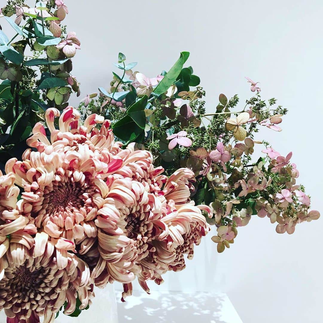 ルミネ公式のインスタグラム：「10月3日からのルミネのテーマは、『Shopping with Sympathy 共感できるモノだから、欲しい』商品が生まれる背景やブランドの歴史などのストーリーを含め、長く愛せるモノを見つけることが大切。 買い物を通じて社会貢献や環境配慮ができるという満足感、五感で楽しめるリアルな体験を。 . 今週のフラワーアレンジメントは、秋色ミナヅキとクラシックマム"ココア"をMIXさせ、季節を感じるニュアンスカラーで構成しました。 . #花#お花#花がある暮らし#花のある生活#花が好きな人と繋がりたい #ルミネの花#ミナヅキ#クラシックマム#ユーカリ @fuga_tokyo」