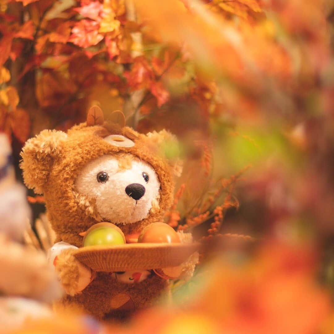 東京ディズニーリゾートさんのインスタグラム写真 - (東京ディズニーリゾートInstagram)「Autumn harvest. あなたに秋をおすそわけ🍁🌰 (Photo:@shiho.cha)  #mcducksdepartmentstore #americanwaterfront #tokyodisneysea #duffy #delightfulautumnwoods #マクダックスデパートメントストア #アメリカンウォーターフロント #東京ディズニーシー #東京ディズニーリゾート #ダッフィー #ダッフィーたちの秋のぼうけん  これからもゲストのみなさんの写真をご紹介します。 #tokyodisneyresort などをつけて投稿してくださいね。詳しくは公式ブログでご案内しています。 https://www.tokyodisneyresort.jp/blog/151005/」10月25日 12時57分 - tokyodisneyresort_official