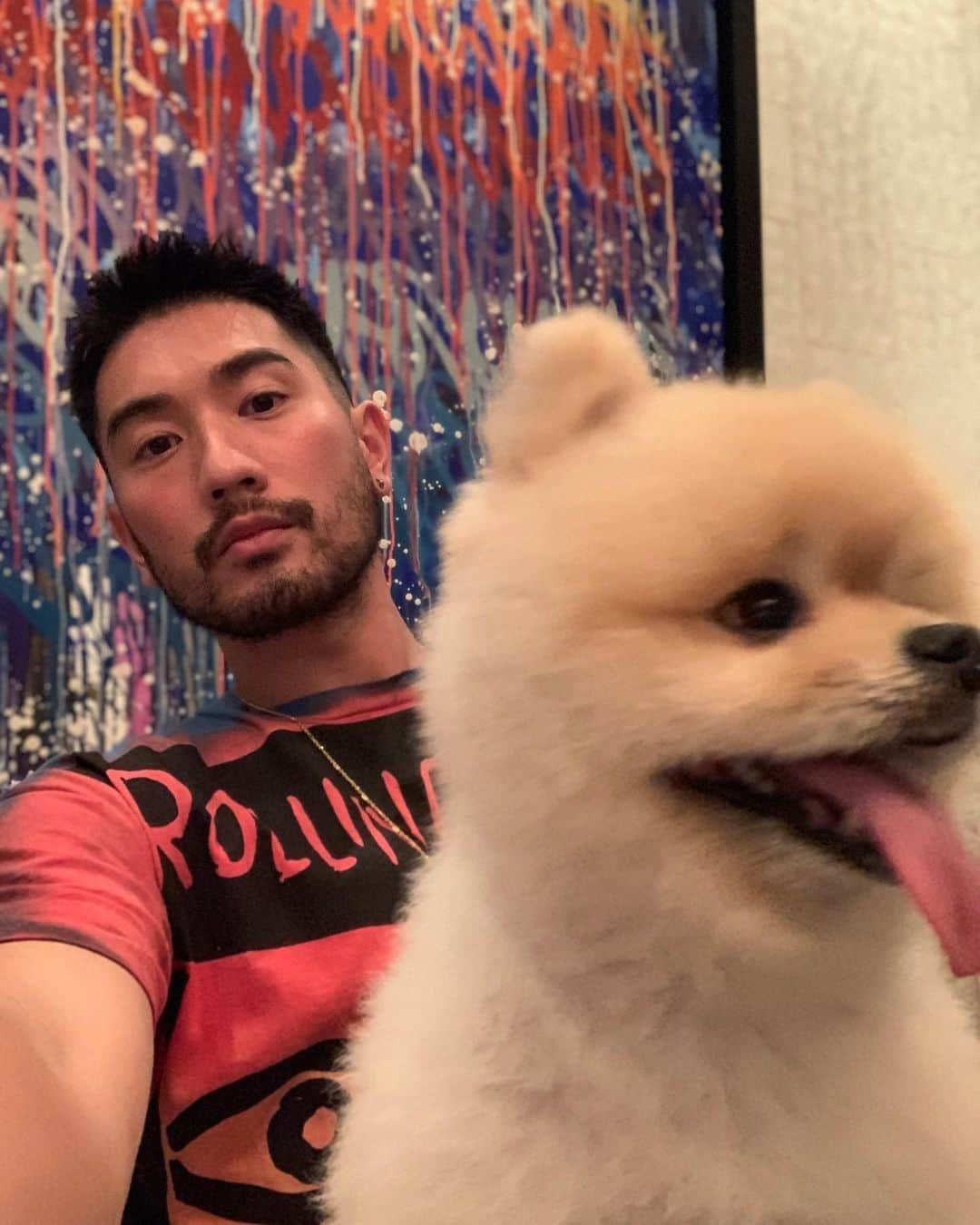 ゴッドフリー・ガオのインスタグラム：「Swipe right 👉🏼 to see the face you make when your owner pets other dogs 🤣 @badboytheodore @kirbymao #whitepomtheo #badboytheodore」