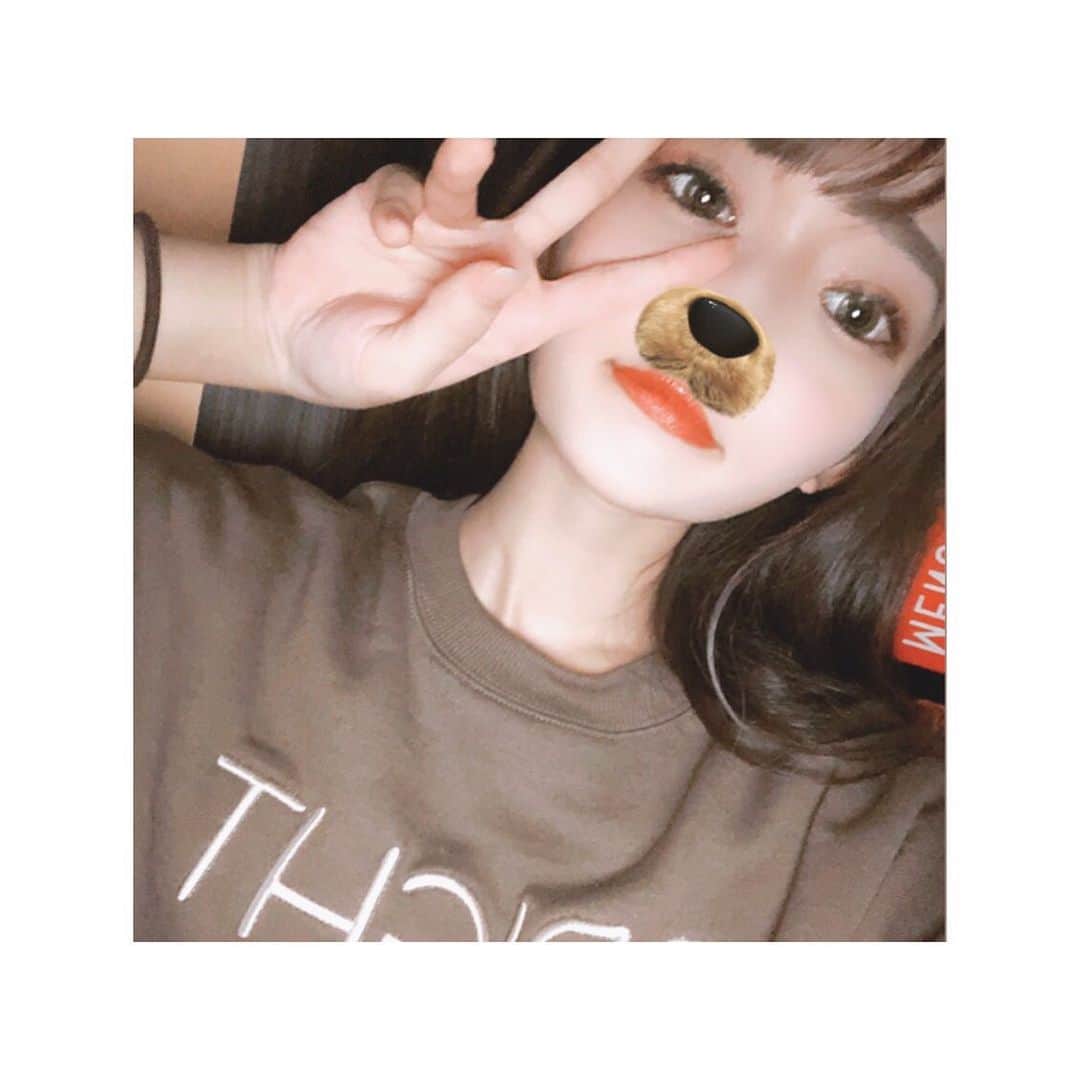 みなみのインスタグラム：「わんころ🐶」