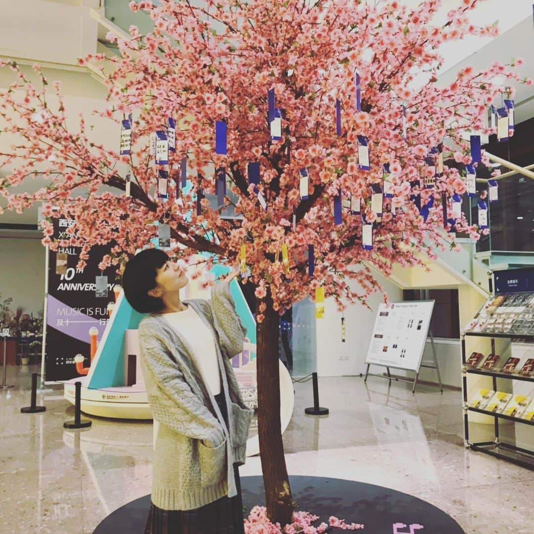 熊木杏里のインスタグラム：「西安。 皆さんありがとう。  桜の木の下 願い事が叶いますように。 また会いましょう」