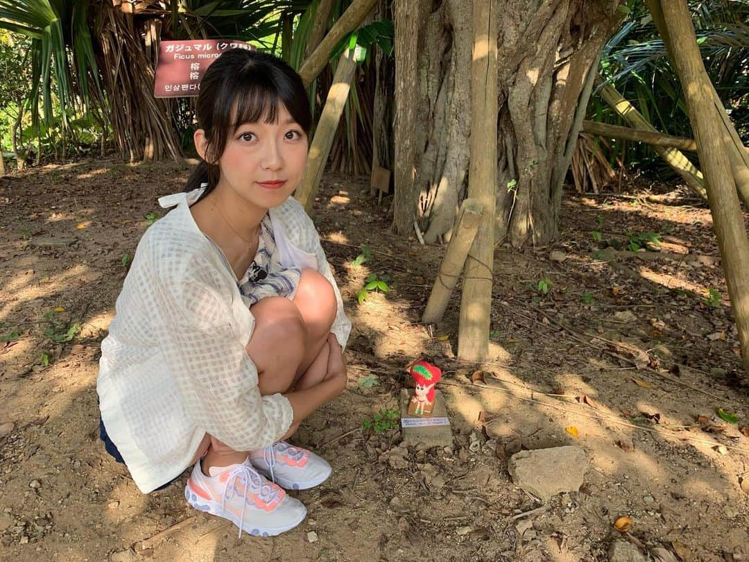 磯原杏華のインスタグラム