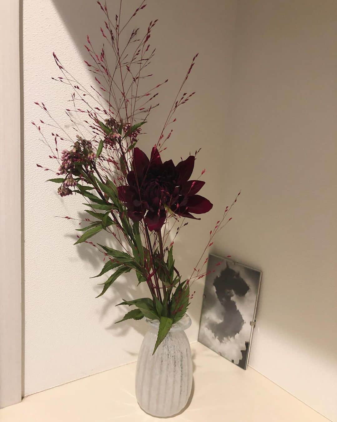 池上紗理依さんのインスタグラム写真 - (池上紗理依Instagram)「秋ぽい色がかわいいお花。🥀 玲奈が私の誕生日の時に、 はいっ！！！ってかわいい笑顔と共にくれました🥰 自分作の花瓶にいれてまだ咲いてくれてます♡」10月25日 16時04分 - sarii_ikegami