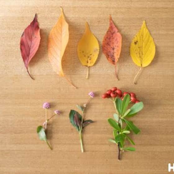 HoiClue♪ [ほいくる]さんのインスタグラム写真 - (HoiClue♪ [ほいくる]Instagram)「＼秋のかんむり／ . 秋の草花集めと、おしゃれをミックスした工作遊び🍁 . みんなでかんむりを被って、秋の王様・女王様になっちゃおう🎶 . 使う素材は…「秋の落ち葉や草花」です☺️ . 作り方の詳細は、 @hoiclue のプロフィールのURLから「ほいくる」へジャンプ→「秋のかんむり」で検索🔎 . ほいくるの投稿を見て遊んだ後は、ぜひ #ほいくる または #hoiclue のタグをつけえ教えてください♬ほいくる公式サイトの記事内で、ご紹介させていただくかも…？ ※その際はInstagramのメッセージにて事前にご連絡させていただきます。  #保育 #保育士 #保育園 #幼稚園 #幼稚園教諭 #こども園 #保育士の卵 #保育学生 #遊び #あそび #子ども #こども #children #kids #製作 #制作 #造形 #工作 #キッズアート #廃材 #廃材リメイク #廃材遊び #秋 #かんむり #落ち葉 #自然遊び #お遊戯会 #衣装」10月25日 16時37分 - hoiclue