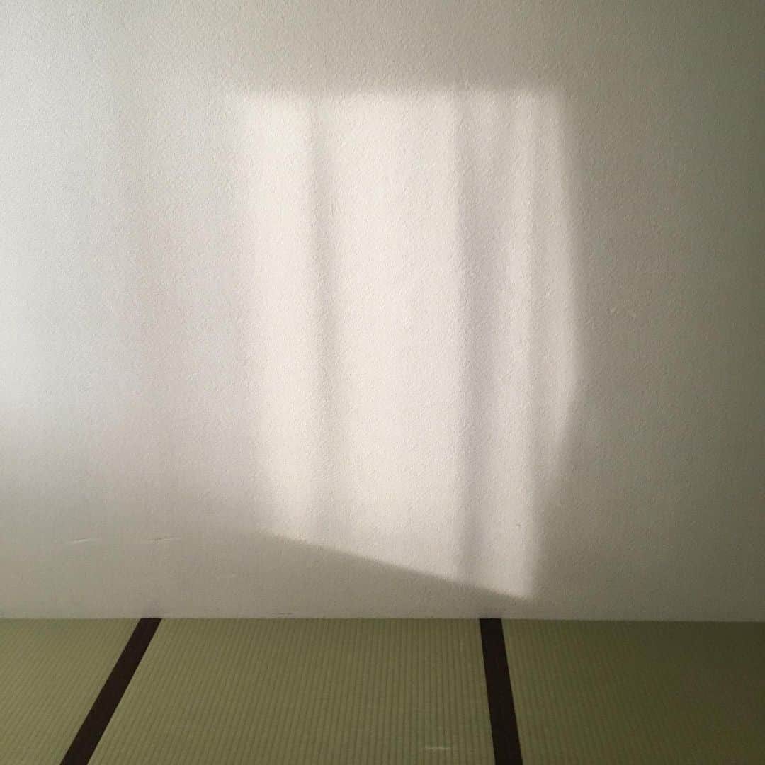 千眼美子さんのインスタグラム写真 - (千眼美子Instagram)「・ いーなーいーなー。 夕方の和室いいなー。 なんにもいらないなー。 夕日差し込めば。 #畳 #和」10月25日 16時48分 - yoshiko_sengen