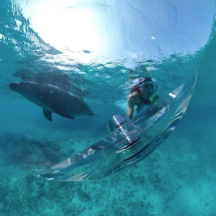 【公式】ルネッサンスリゾートオキナワのインスタグラム
