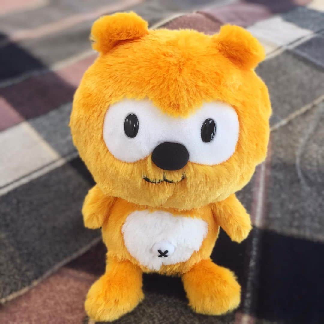 ポンタのインスタグラム：「. . ぼくのたからもの ちぃポンだよ💕 . twitterでたくさんの人が名前を考えてくれたんだ☺️✨ . . これからもよろしくね💓 . . . #ponta #ポンタ #ちぃポン #ポンタのたからもの #お友達 #小さいころからずっと一緒 #ぬいぐるみ #happy #ぬい撮り #ちょっこりさん #ポンスタグラム #撮りポン」