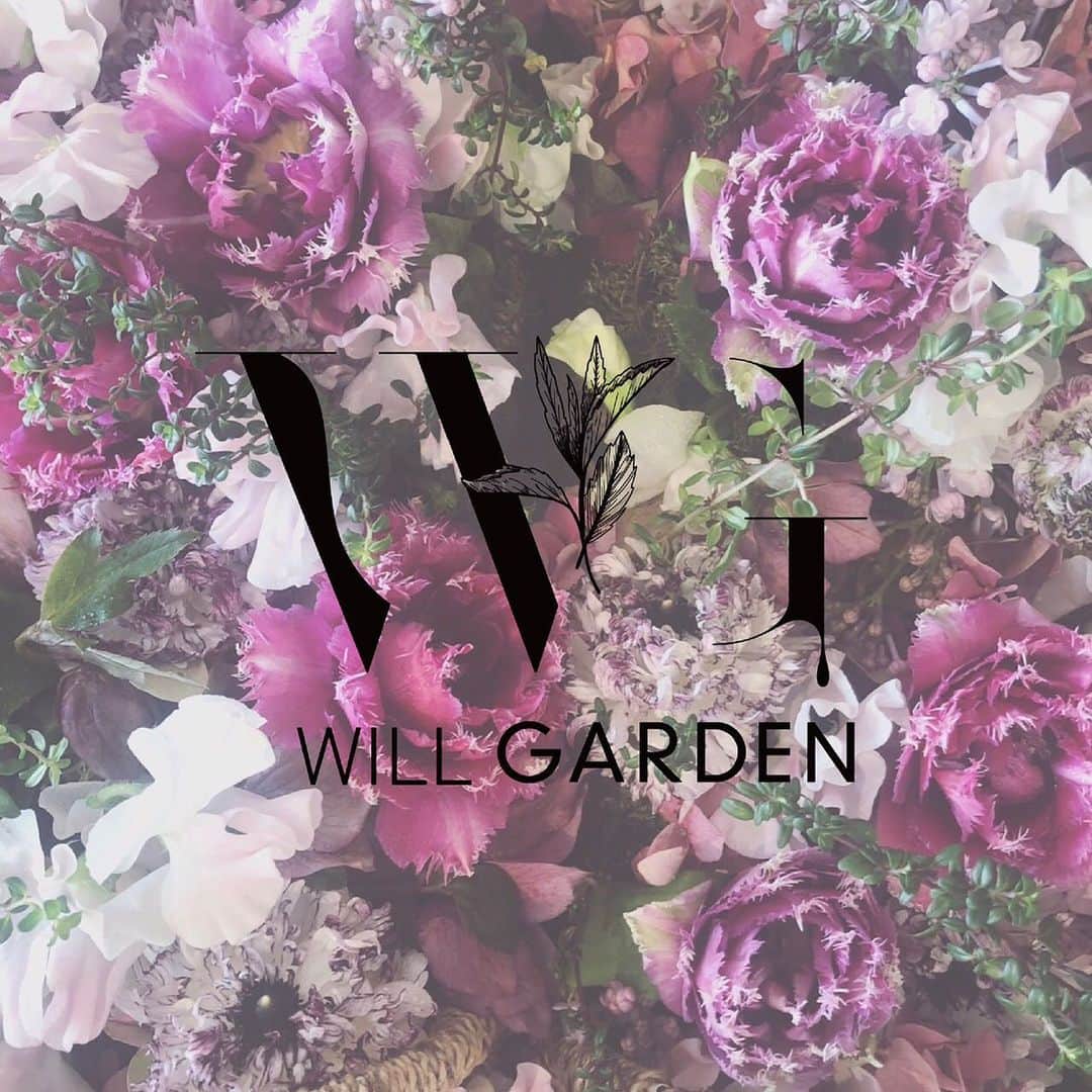 畑野ひろ子のインスタグラム：「WILL GARDENレッスンのお知らせです。 【内容】 クリスマスデコレーション 【日時】 2019年11月26日(火) ①11:00〜 レッスン後ティータイム有り ②14:00〜レッスン後ティータイム有り アンジェロコート東京にて  今回は、一本の白樺の枝にグリーンやクリスマスオーナメントを施します。 クリスマスまでの期間、長くお楽しみいただけるアレンジメントで紐を使い壁に掛けて飾っていただけます。 たくさんの種類のグリーンやオーナメント、リボンをご用意いたしますので、皆様のお好みに合わせて飾り付けを楽しんでいただけるレッスンとなります。  お申込みは、 @willgarden_official  HPのlifeからお願いします。」