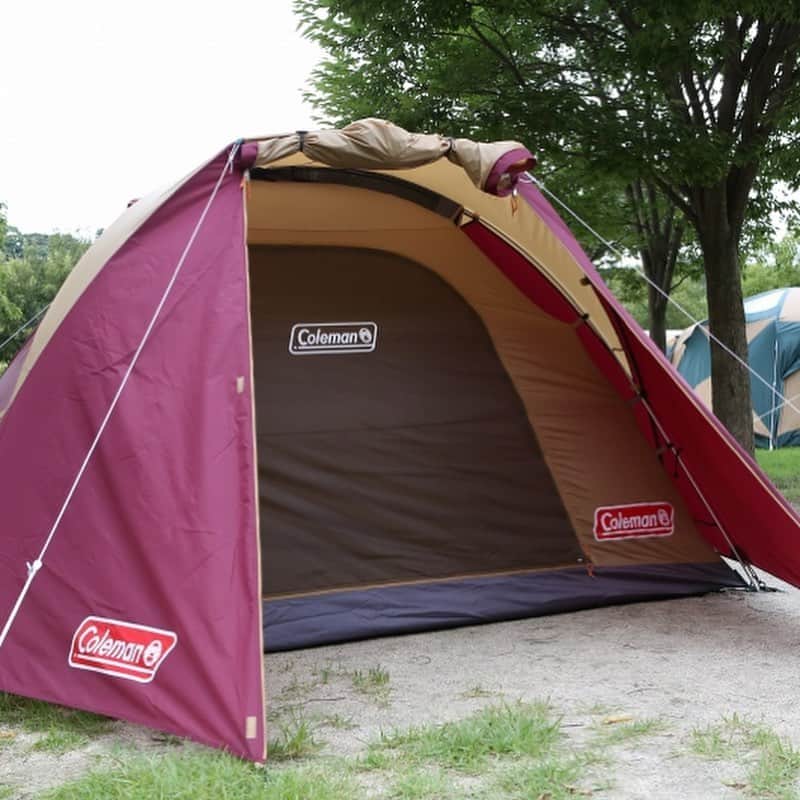 キャンプ情報サイト［ランタン］さんのインスタグラム写真 - (キャンプ情報サイト［ランタン］Instagram)「CAMP SMILE STYLE ／ 初めてキャンプはタフドームと ラニ―メッシュタープテントで。 ＼ いろんなキャンパーのキャンプスタイルを現地取材と一般キャンパーからの投稿で数多く掲載してます。 . . 詳しくは @lantern.camp  webサイトをご覧ください . . #camp #camping #outdoor #travel #trip #lantern_smile #nature #キャンプ #キャンプ用品 #アウトドア #テント #自然 #旅行 #キャンプ初心者  #キャンプ好きな人と繋がりたい #青川峡キャンピングパーク #コールマン #キャプテンスタッグ #ロゴス #パワーハウスlp2バーナー #ドームテント #タフドーム3025 #ファミリーキャンプ #ファミキャン」10月25日 17時48分 - lantern.camp