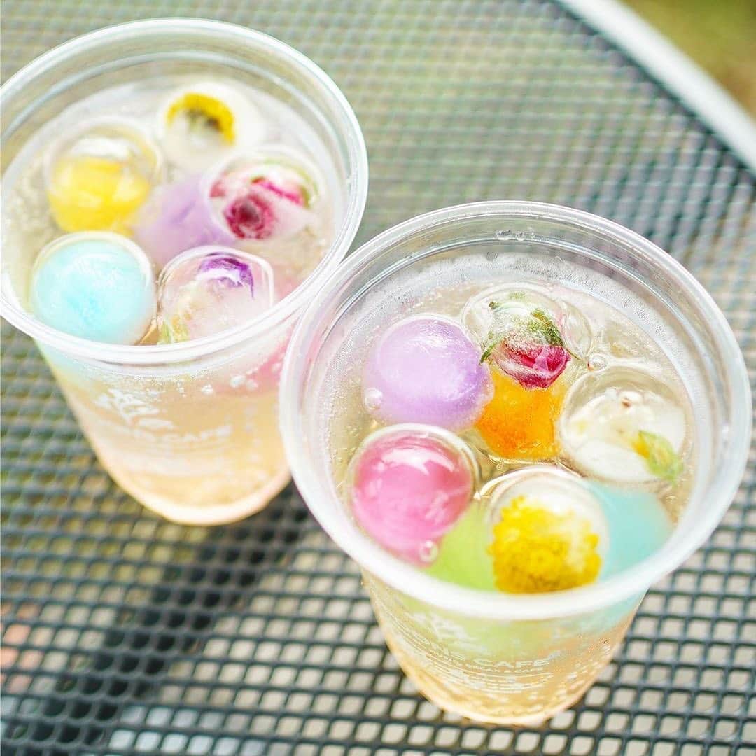 LeTRONC ルトロンのグルメインスタ