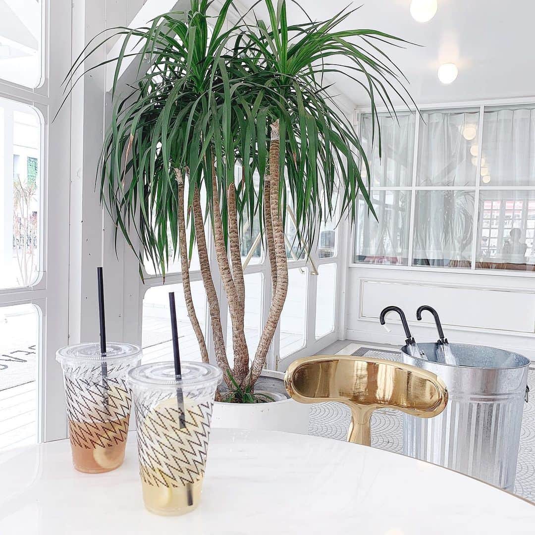 五十嵐茉優のグルメインスタ