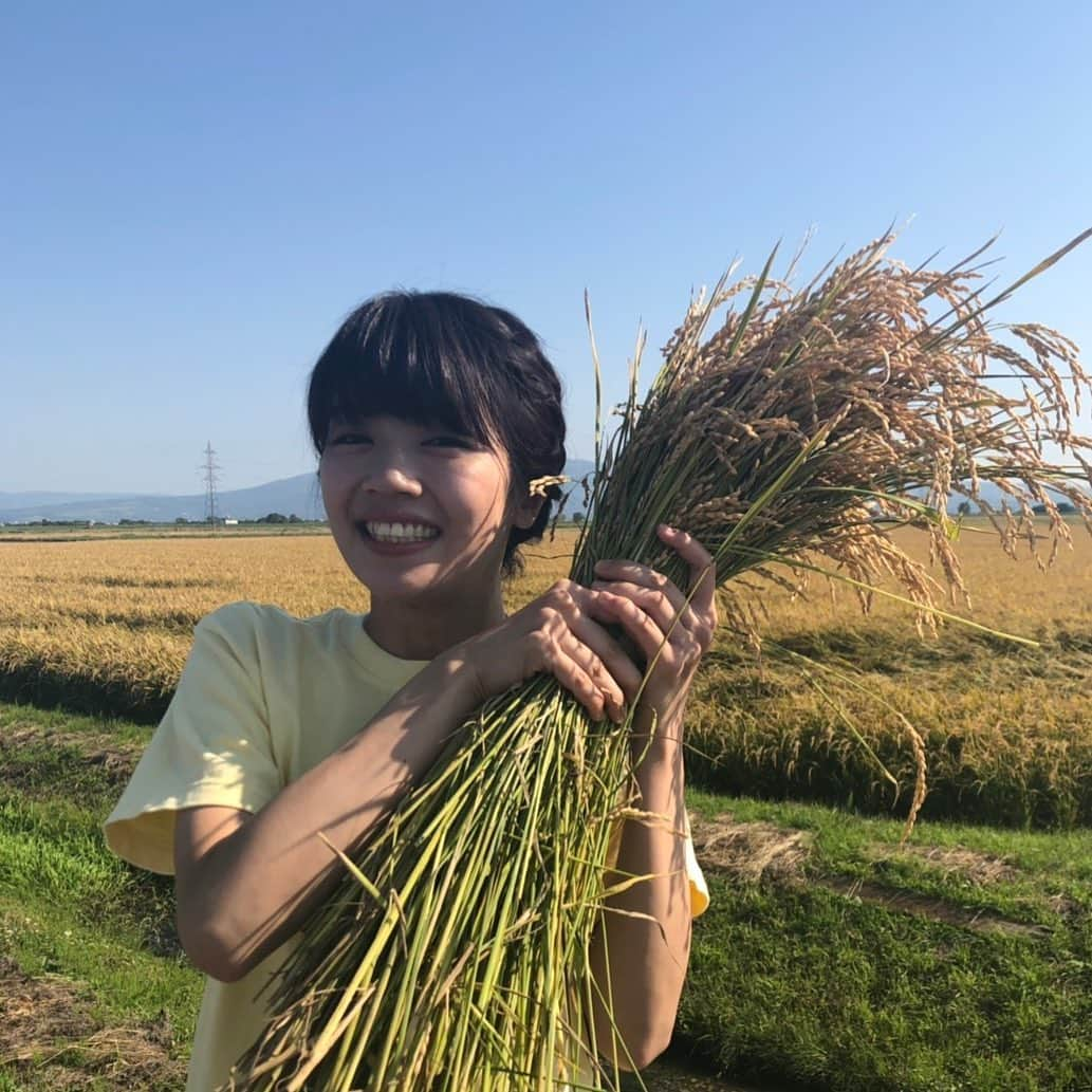 HBC北海道放送アナウンス部さんのインスタグラム写真 - (HBC北海道放送アナウンス部Instagram)「. 森結有花です☺︎ . みなさんはもう、今年の新米を食べましたか？🍚 . 明日放送のあぐり王国北海道NEXTでは、 稲刈りをしました🌾 . キレイに色づいた稲が青空によく映えていましたよー😊 . 今年デビューの新品種【えみまる】の出来はいかに…！？ . 午後５時放送です！ よろしければご覧下さい🍙 . #HBC #北海道放送 #あぐり王国北海道NEXT #えみまる #北海道米  #新米 #食べらさる #🍚🍚🍚」10月25日 19時45分 - hbc_announcer