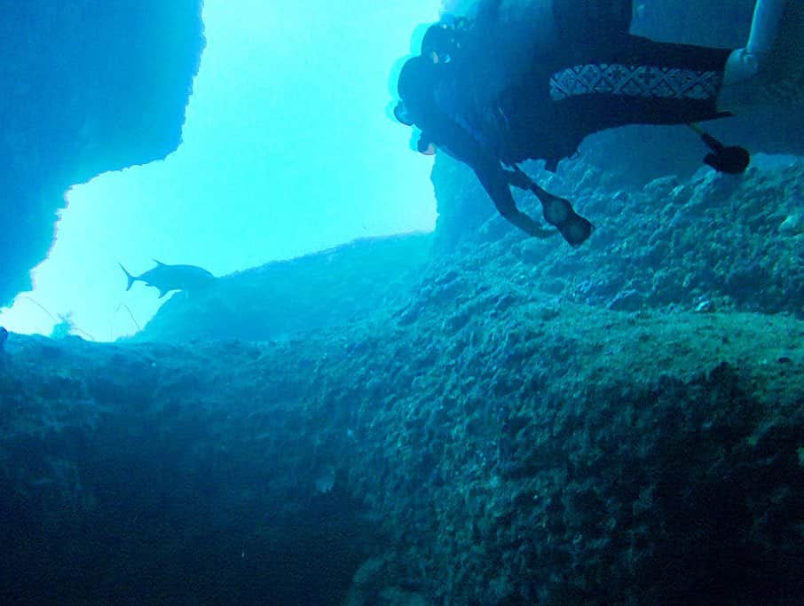 米山珠央さんのインスタグラム写真 - (米山珠央Instagram)「. 巨大な#ロウニンアジ に逢えた🐟❤︎ ツーショットを撮ってもらったのに 食べられちゃってる🤣ずっとぐるぐる泳ぐから タイミングが合わなかった〜1年ぶりの再会でした! . #gt #diving #diver #gull #openwater #ow #padi #okinawa #okinawajapan #miyakojima #trip #sea #summer #instagood #insta #instagram」10月25日 20時52分 - tamao_17no1