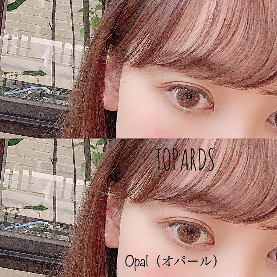 Yukiさんのインスタグラム写真 - (YukiInstagram)「、 さっしープロデュースのカラコン♡ 既存カラーのDIAは14.2ｍｍ 新色はTOPARDS初の14.5ｍｍ🌷 着色が少し大きめだけど自然だから盛れる👏🏻 1枚目のPeridotはミントカラー×グレーブラウンの縁🧚🏻‍♂️ リップは赤リップにしてみました💄 Opalは色素薄めのブラウンカラーでデートや日常にも使いやすいです👌🏻 レンズが薄くてたっぷり潤いもあるから付け心地がすごくよかった☺️ 自然でオシャレなカラコンをお探しの方、参考になれば嬉しいです♡ ㅤㅤㅤㅤㅤㅤㅤㅤㅤㅤㅤㅤㅤ #TOPARDS #トパーズ #カラコン #指原カラコン #リリーアンナ #カラコンレポ #アイメイク #赤リップ #リップ」10月25日 21時00分 - yukii061