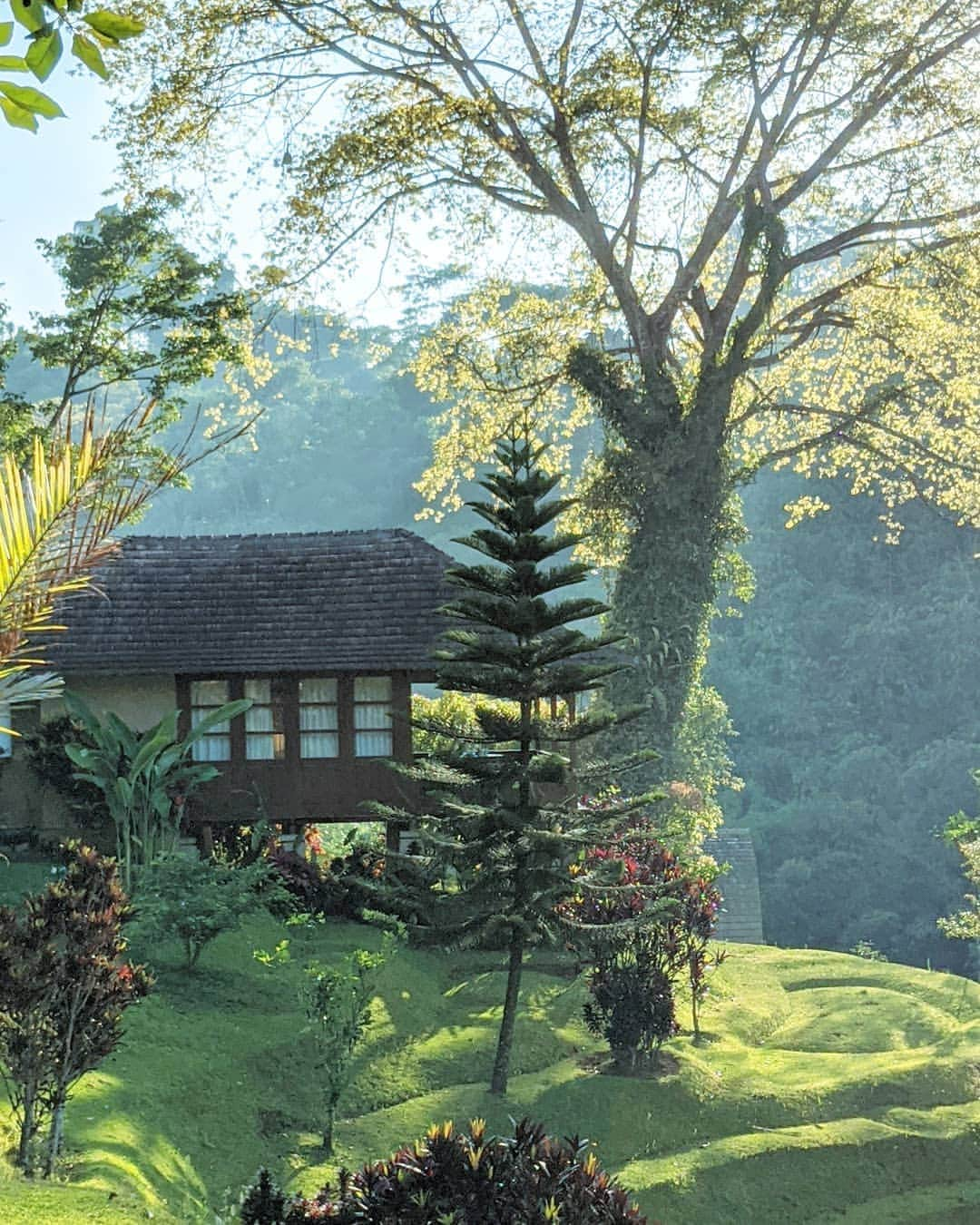 masayaさんのインスタグラム写真 - (masayaInstagram)「これもバリ島。美しいウブド。 Bagus Jati Health & Wellbeing Retreat Ubud Bali Indonesia Google Pixel４は逆光撮影にすぐれている。画面操作で明部と暗部をそれぞれ好みの明るさに調整できる。明部を飛ばさず暗部を明るく起こしその再現性には目を見張るものがある。 #pixelで撮影 #teampixel #googleのスマホ #sponsored」10月25日 21時10分 - moonlightice