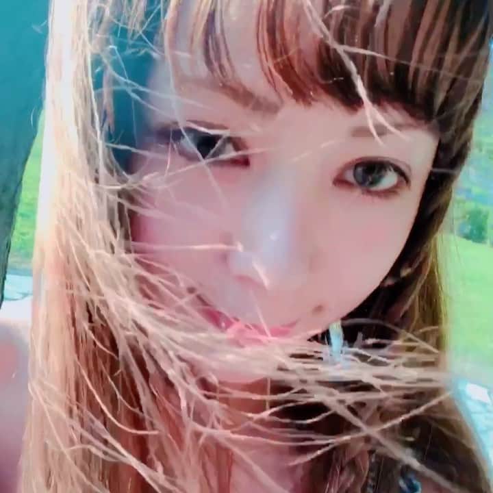 Arimeのインスタグラム：「散歩天気良くて気持ち良かった🐾 新しい家族はトイプのハニエルちゃん💕 ラビの嫁✨まだ4ヶ月。  #okinawa #散歩 #わんちゃん #トイプードル #芝生 #気持ち良い #涼しくなってきた #cutedog #cute #4ヶ月ベビー」