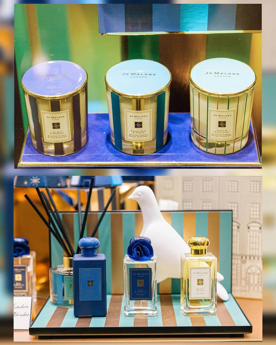 Kerinaさんのインスタグラム写真 - (KerinaInstagram)「. 今年 @jomalonelondon 的聖誕包裝又是一個必收藏！ 喜歡的香味就會想要各種包裝都想擁有 這次英國梨與小蒼蘭也有午夜藍限量包裝  每到年底最期待的就是聖誕節🎄🎅🏼 誒？不是才10月嗎哈哈哈 這次的主題是「魔幻香氛」 今天還在現場看了魔術秀 站在搖滾區第一排竟然沒有看出破綻🧐  藤枝擴香也有聖誕限定配色 這次也有限定新香是玫瑰與星玉蘭 / 👉🏻購買魔幻香氛系列就有午夜藍玫瑰限量包裝服務 👉🏻購買3件商品以上享有聖誕限量禮盒與緞帶 以及有玫瑰與星玉蘭香氣的手寫小卡片 👉🏻聖誕商品滿5000元+一般商品滿4000元 即可客製個人專屬英文名聖誕絲絨拉炮 還可獲得古龍水9ML乙瓶喔！  #scentedspectacular #gracegiftxkerina #anirek」10月25日 22時55分 - kerina_hsueh