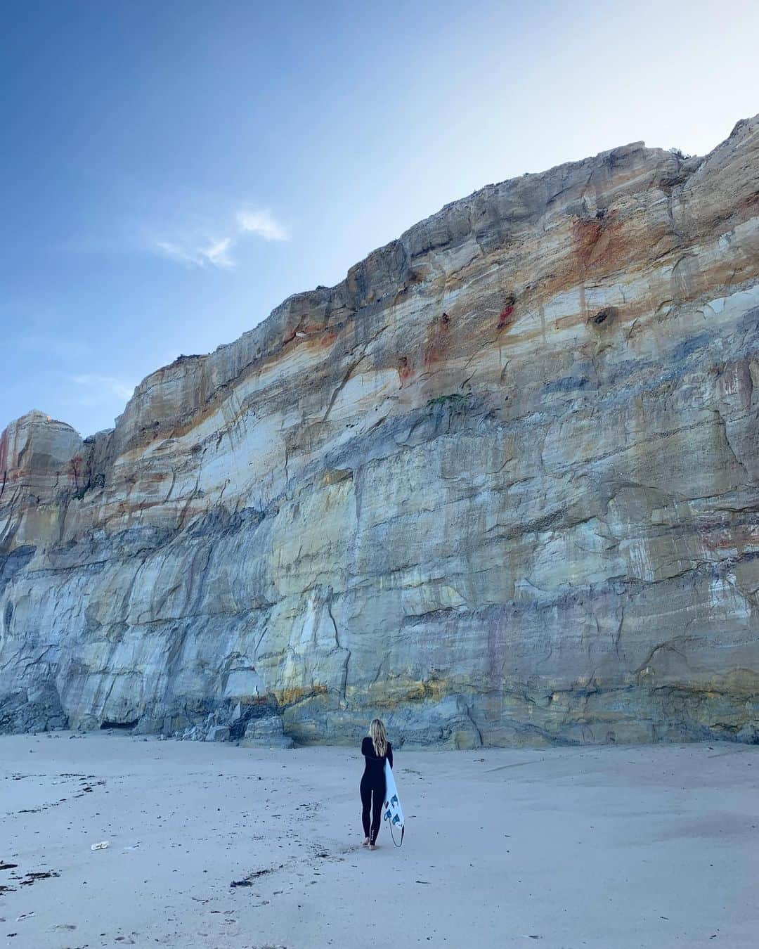 ニッキ・バン ダイクのインスタグラム：「Nature wins」