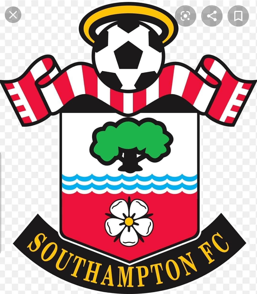 ヨス・ホーイフェルトのインスタグラム：「We get up and stand up. WE ARE SOUTHAMPTON! Shit happens we move on. COYS!!」