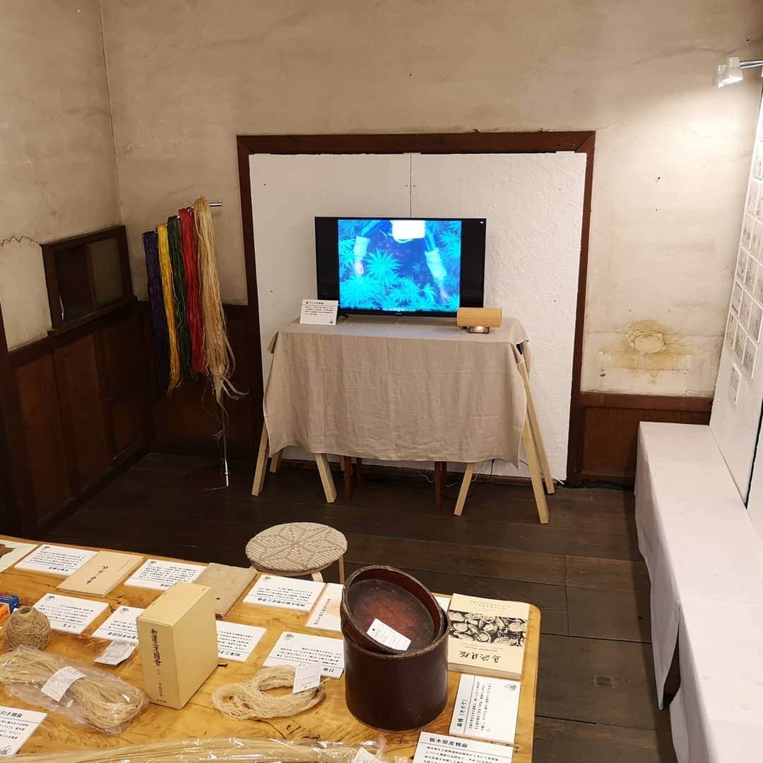 ASAFUKU(麻福)さんのインスタグラム写真 - (ASAFUKU(麻福)Instagram)「『大麻博物館 in 伊勢・麻福』好評開催中です。  農作物としての麻、つい70年前まで当たり前のようにあった日本人の麻のくらし を見直していただけるとうれしいです。（詳細はプロフィールURLからどうぞ）  ところで、会場は、大正時代の建築。歯医者さんだったそうです。天井が高く、使われている木材などはとっても立派です。  この空間に活気を取り戻すのに貢献したであろうものが白のボード。そう、麻すさを混ぜ込んだ漆喰ボードでした。  素人ながら自分たちで塗り塗り。贅沢にも、一級品の精麻を可能なだけ混ぜ混んだかたちです。  麻と漆喰の調湿効果で、空気も清涼になり、神の衣ともされる大麻の展示にふさわしい環境になったと自負しています。  ぜひ一度お越しくださいませ。  Hemp Museum in Ise  where used hemp plaster boards for making room comfortable.  #大麻博物館 #麻博 #麻の家 #麻のインテリア #hemphouse #伊勢 #伊勢外宮前 #伊勢麻福 #麻のある生活 #ヘンプ #hemp #asa #麻 #麻福 #asafuku」10月26日 8時05分 - asafukuhemp