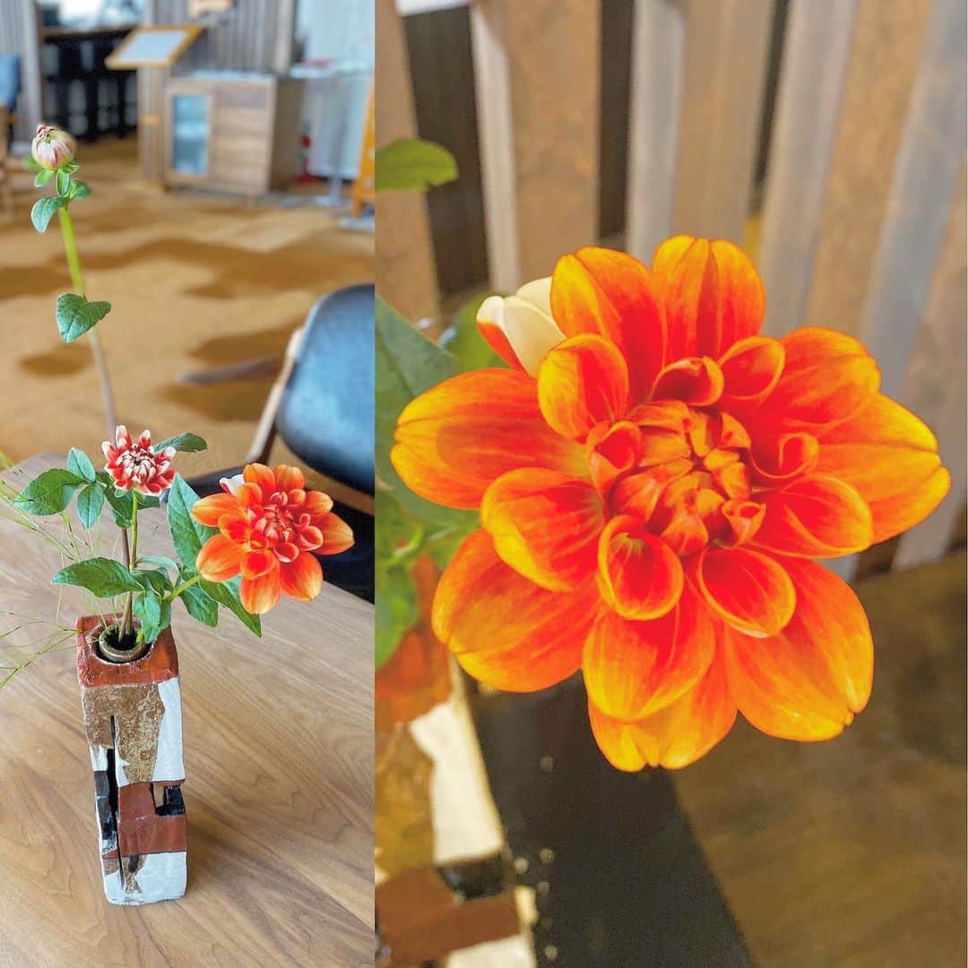 祥吉のグルメインスタ