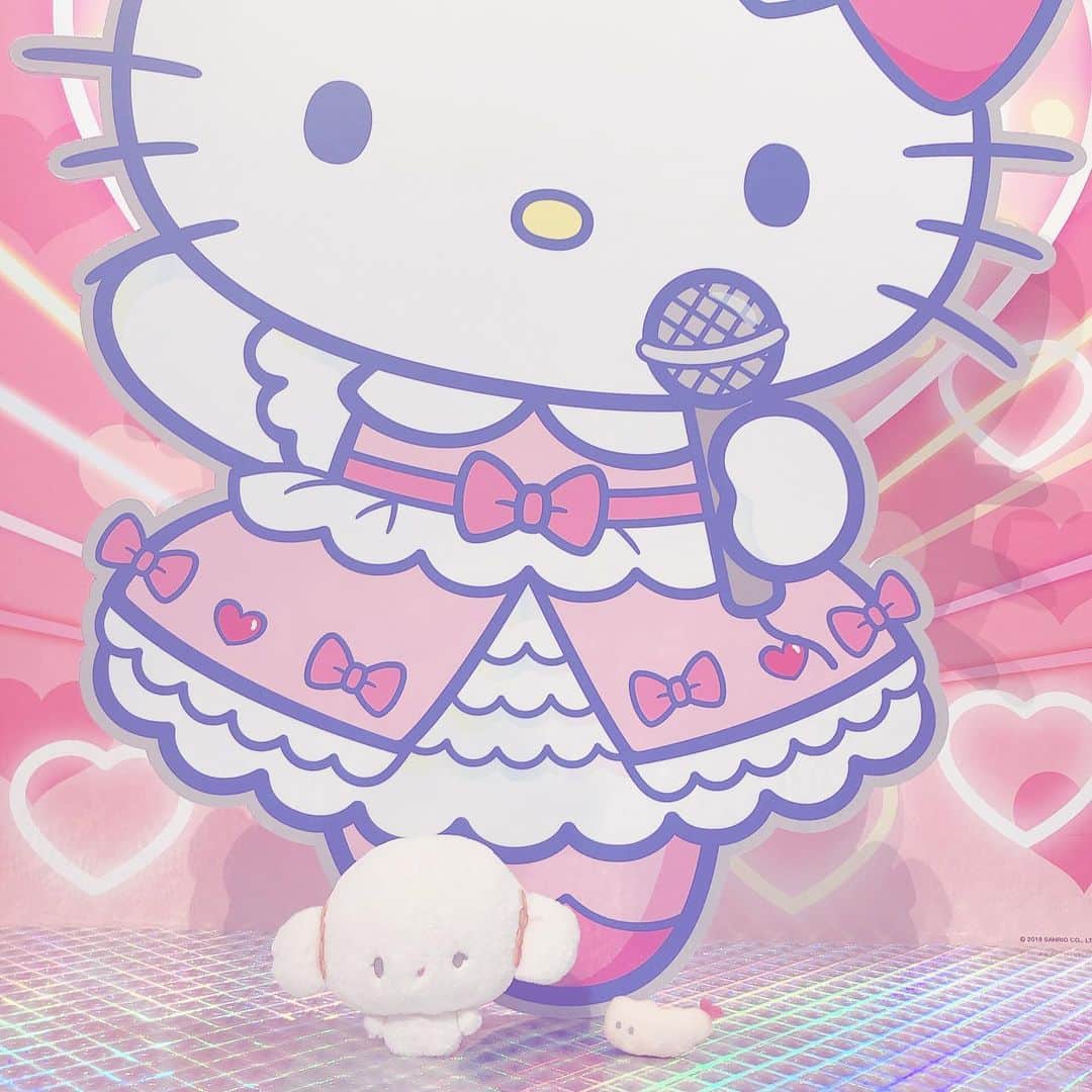 こぎみゅん（サンリオ）のインスタグラム：「. キティちゃん可愛いみゅん‥♡ こぎみゅんも今お歌考えてるみゅん‥完成したら一緒にうたいたいみゅん‥ #サンリオ #キャラクター #小麦粉の妖精 #こぎみゅん #ハローキティ #キティちゃん #sanrio #character #cogimyun #hellokitty #kawaii」
