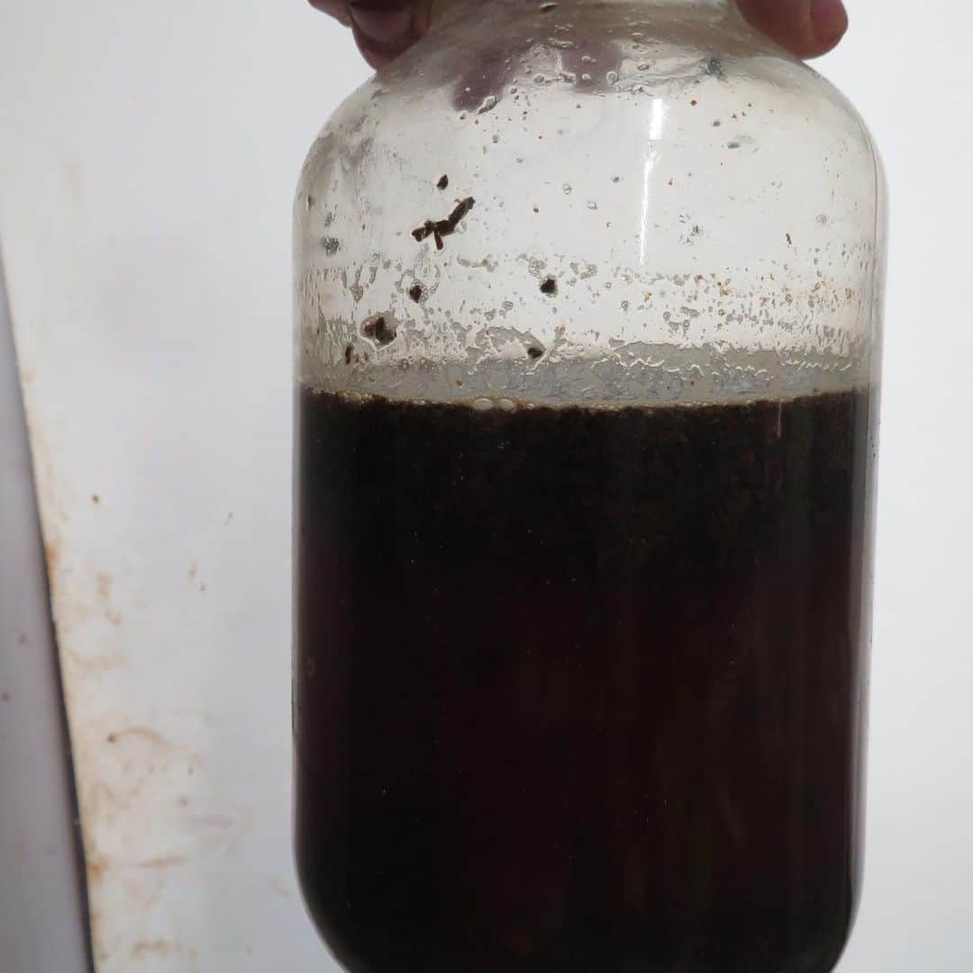 魔女菅原のグルメインスタ