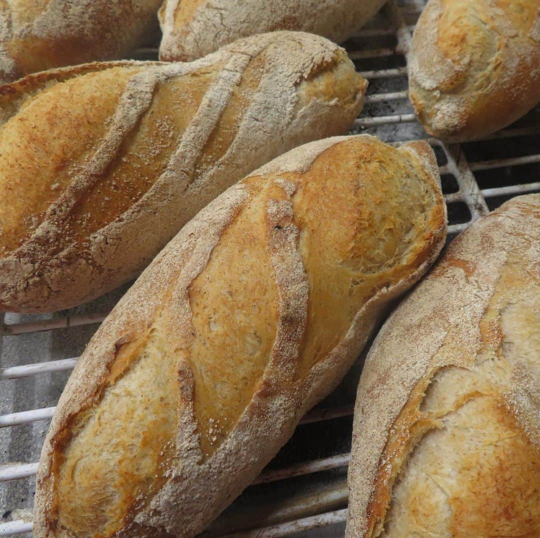 魔女菅原のグルメインスタ