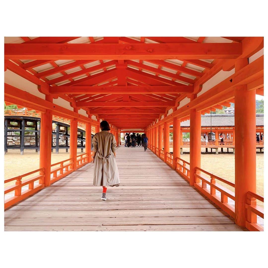のインスタグラム：「gm☻ 昨日受付終了となった予約会に沢山のご予約ありがとうございました😊 12月から4月までのお届け期間引き続きよろしくお願い致します🙇‍♀️ 先日展示会後お暇いただき広島へ。 9月はしまなみ街道巡りの出発地点で訪れ、今回が2回目。 別の目的あっての広島入りでしたが、まずは目的の前に以前から行ってみたかった厳島神社へ。 がしかし、楽しみにしていた大鳥居がまさかの工事中😭 工事中だって知らずに行ってしまったので最初鳥居を探したよねーw 大鳥居は見れず残念だったけれど、車ごとフェリー移動して宮島ふらふら散策して、結果楽しめたので良し。 ラグビー観戦帰りの外国の方も多く平日にも関わらずめちゃくちゃ混んでました。 潮の満ち引きでまた違った姿をみせてくれるんであろう厳島神社。 満ちた時に今度こそ大鳥居見れたらいいな⛩ #trip #travel #hiroshima」