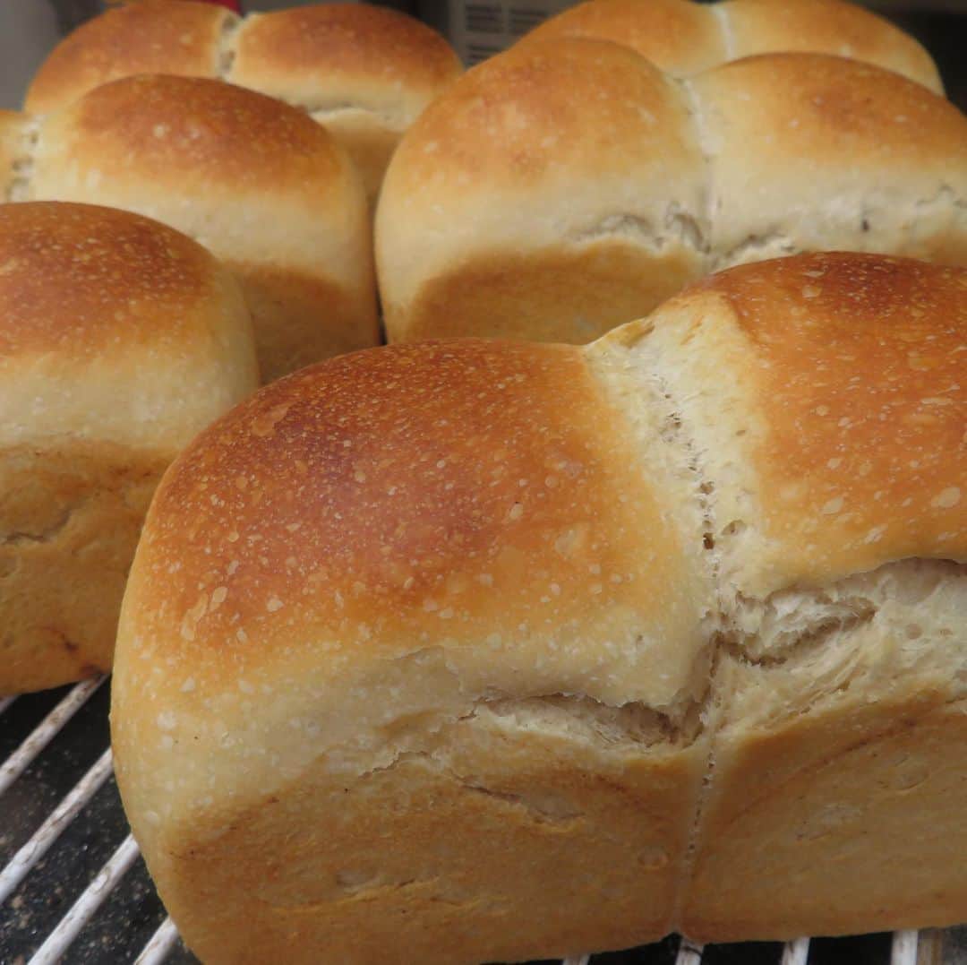 魔女菅原のグルメインスタ