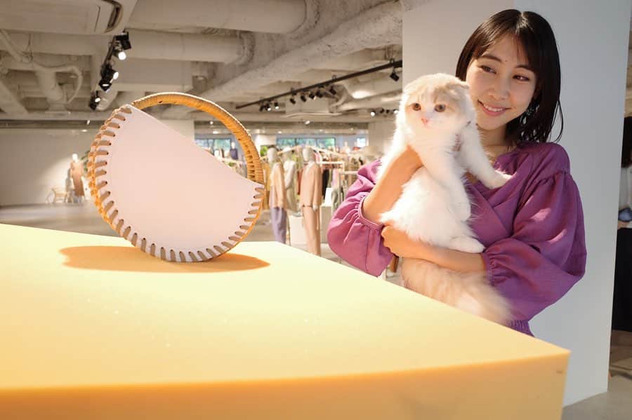 のインスタグラム：「SNIDEL 2020 Spring Collection🌸 SNIDELプレスキャットのマシュマロと展示会まわったよ😽😻 春服が可愛くて春が待ち遠しくなりました☺️💐 皆様お楽しみに〜💕 @snidel_official  @snidel_official_snap  @marshmallow_presscat  #SNIDEL」