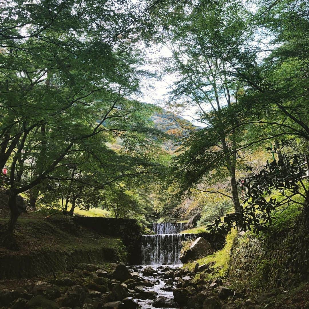azumyのインスタグラム