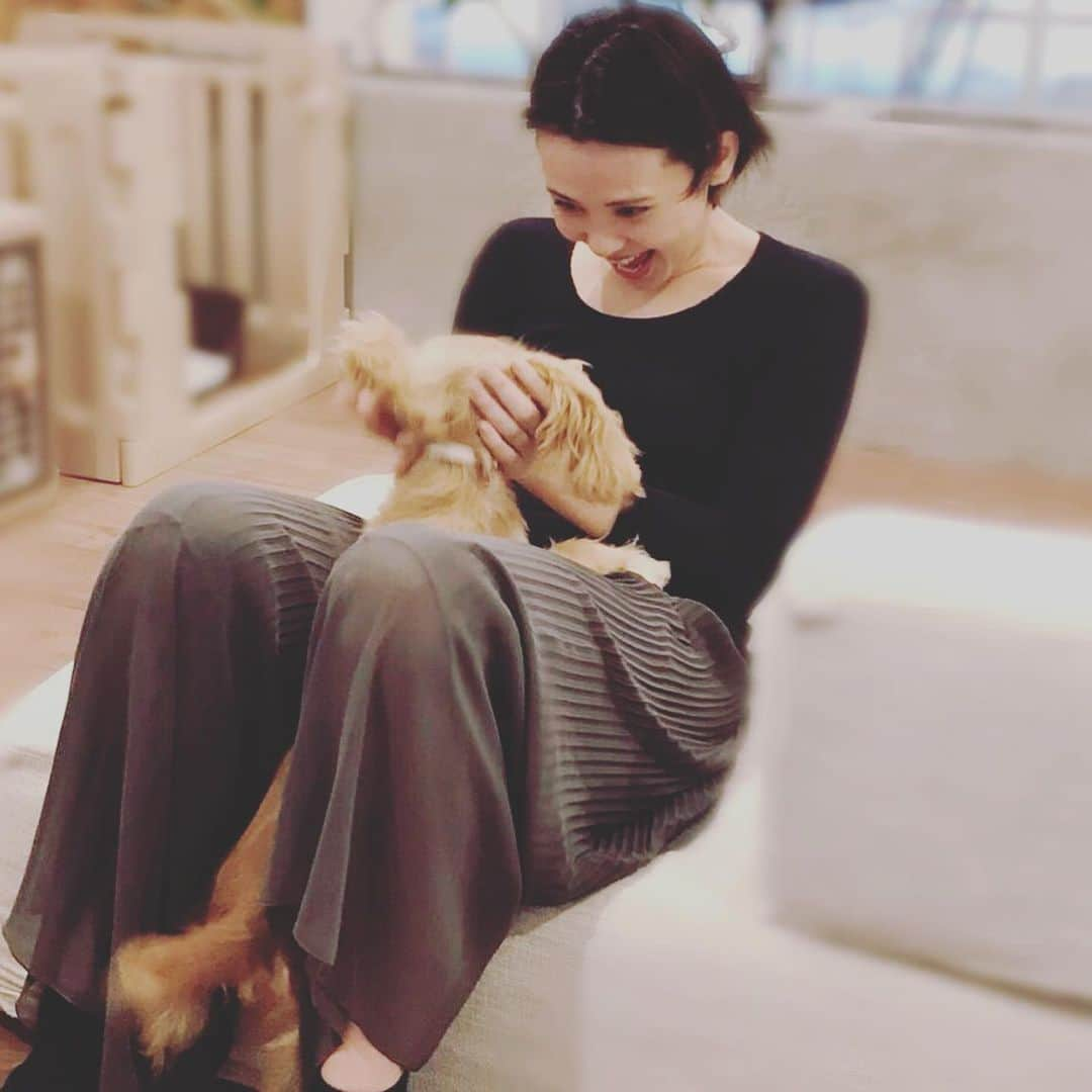 緒月遠麻さんのインスタグラム写真 - (緒月遠麻Instagram)「☺︎ ただただはしゃぐ お犬様を前に 私の中の オヅゴロウが爆発。笑  #ムツゴロウ #🐕 可愛すぎたね。  飼わないよ。 飼わないよ。 飼わないよ。 飼いたいね 飼わないよ。」10月26日 12時32分 - toma_ozuki