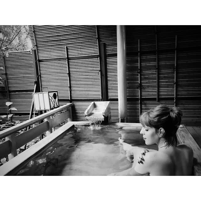 IVANのグルメインスタ