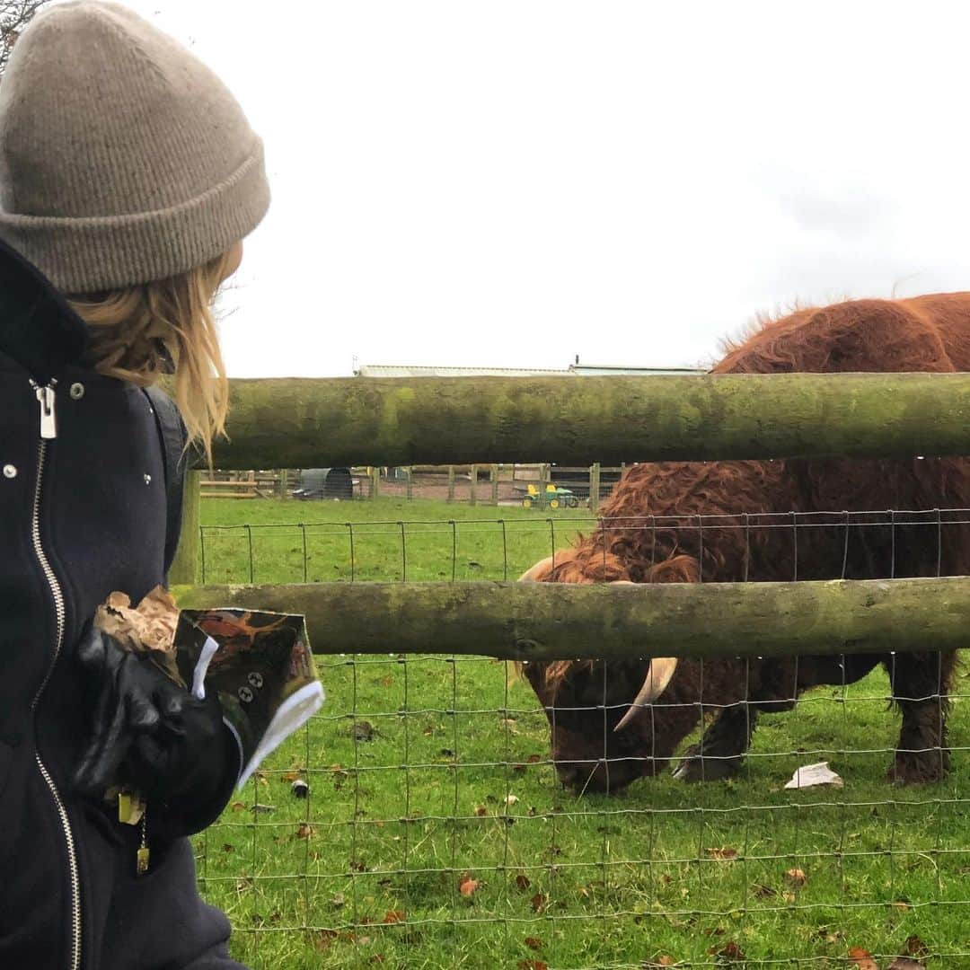 ジョアンナ・ブラッディさんのインスタグラム写真 - (ジョアンナ・ブラッディInstagram)「Finally saw highland cows in person!! Dreams! 🤗」10月26日 19時24分 - thejohannabraddy