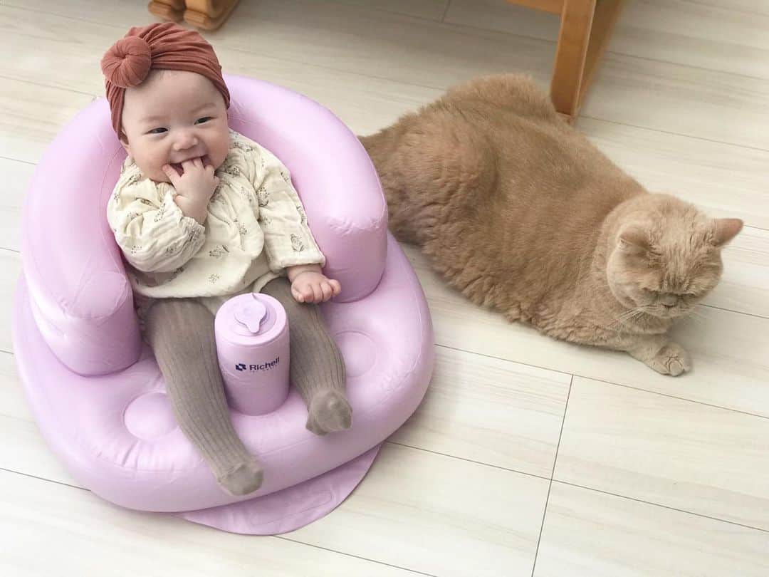 濱中鮎子のインスタグラム：「お風呂用に買ったけど、朝はこれに座って箱根駅伝の予選会見てた🤣  #richell #リッチェル #ふかふかベビーチェア  #チャイ坊とお嬢」