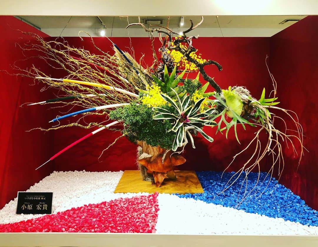 小原宏貴のグルメインスタ