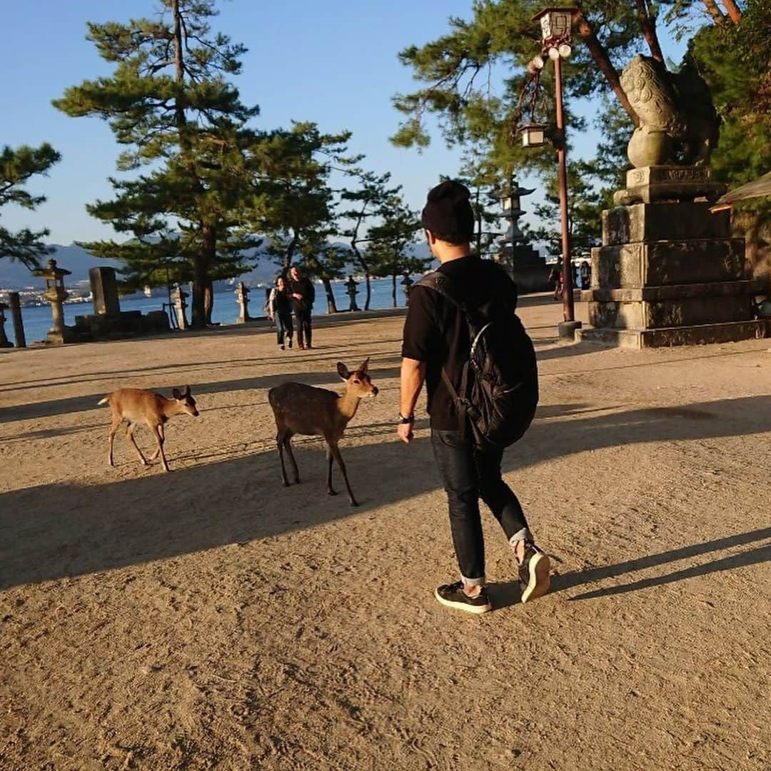 高本剛志さんのインスタグラム写真 - (高本剛志Instagram)「宮島。 プチ登山。 瀬戸内の眺め。  もう二度と広島来る気が無いみたいな広島めぐり。  #広島 #宮島 #大鳥居は工事中」10月26日 14時55分 - takamoto76