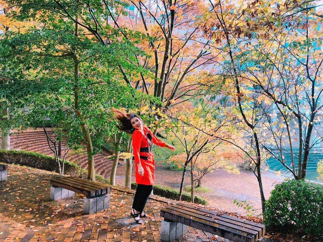 平野ノラさんのインスタグラム写真 - (平野ノラInstagram)「今日は広島のキャンパス土地転がしてきたゾ🍁🍁🍁 県立広島大学庄原キャンパス『白楊祭』 みんなやっP〜で紅葉しててOKバブリーだったゾ！ ありがとうございました。  #県立広島大学  #白楊祭 #5年生がんばるんば #ガンネン #平野ノラ #じゃねー #庄原焼き  #okバブリー」10月26日 17時11分 - noranoranora1988