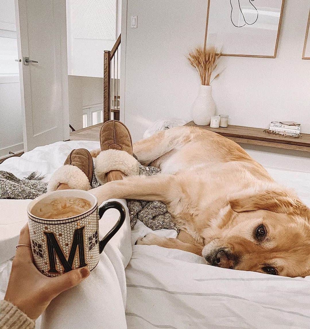 Anthropologieさんのインスタグラム写真 - (AnthropologieInstagram)「Pictured here: our perfect afternoon. What's yours? Comment below! Photo via @llesdeux (link in profile to shop)」10月27日 4時02分 - anthropologie