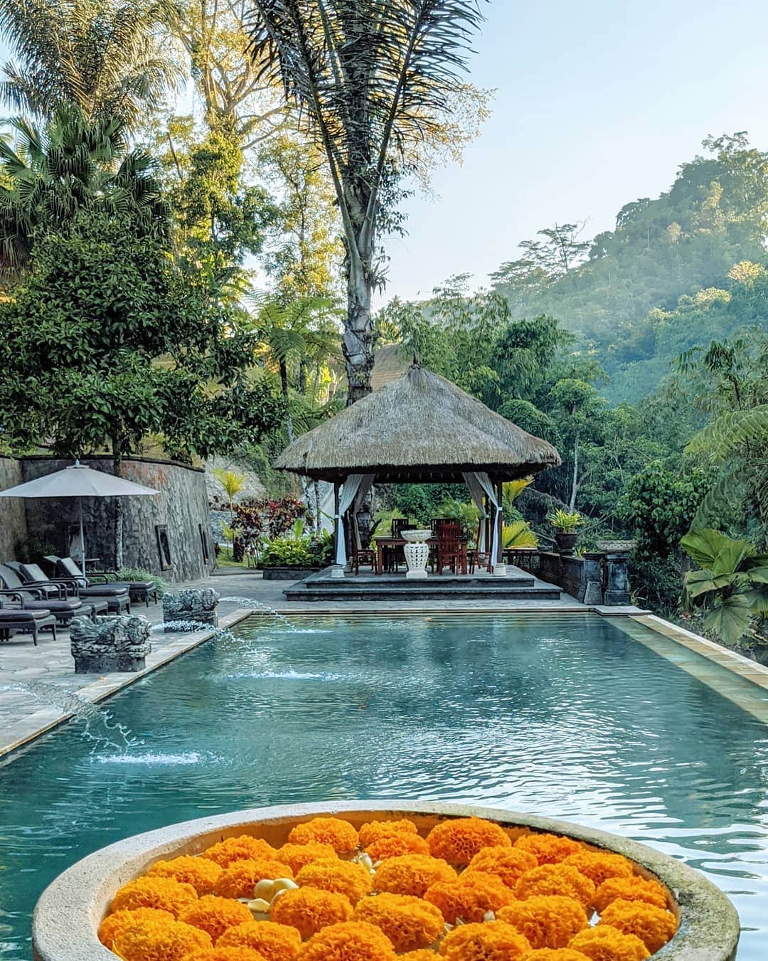 masayaさんのインスタグラム写真 - (masayaInstagram)「Early morning pool Bagus Jati Health & Wellbeing Retreat Ubud Bali Indonesia 暗部をこれだけ明るく合わせると通常は背景の空は白く飛んでしまう。Google Pixel4は空の調子を残すことも、明るく飛ばすこともできる。 #pixelで撮影 #teampixel #googleのスマホ #sponsored」10月26日 19時43分 - moonlightice